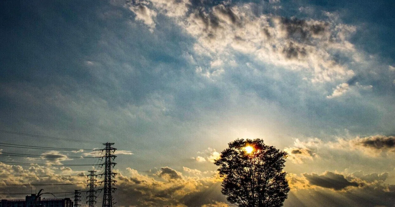 The Definition of Happiness｜pootaro_suzuki