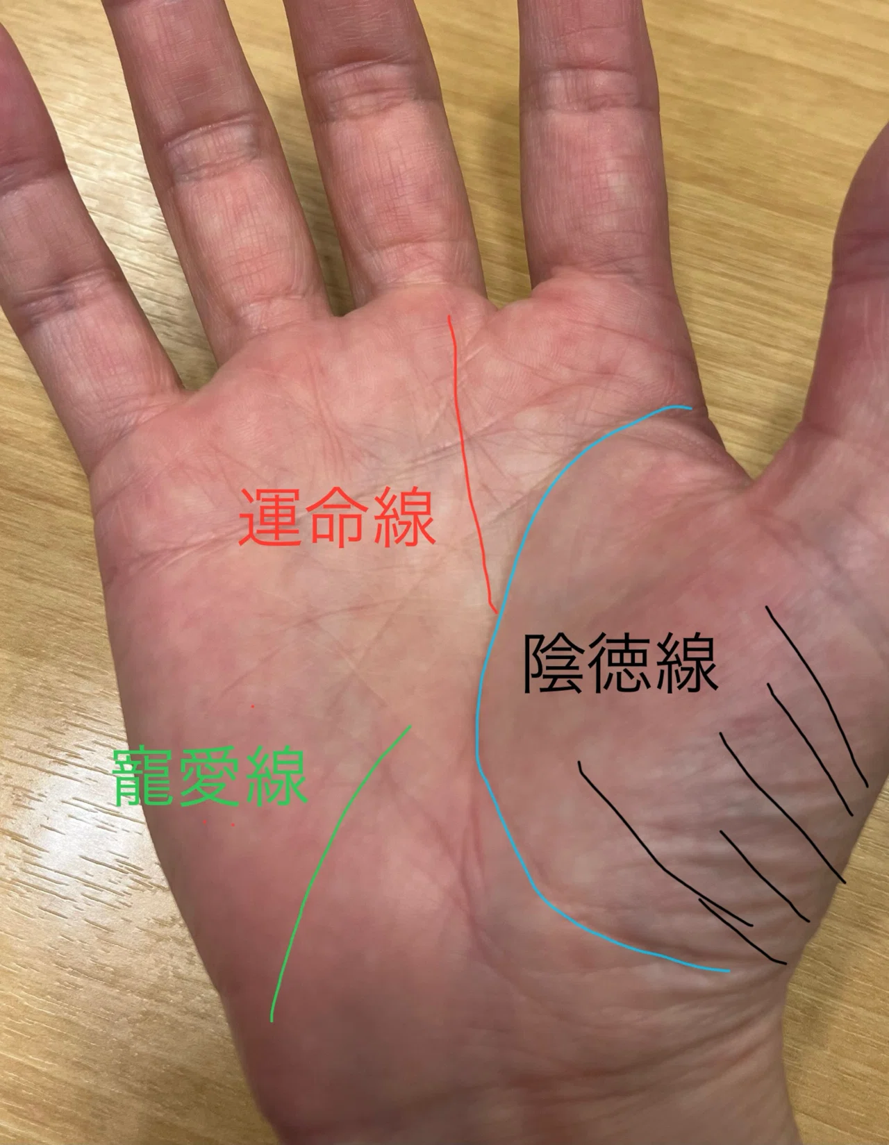 この笑顔に至るまで/手相｜きく｜手相も見られるちょこっとライター