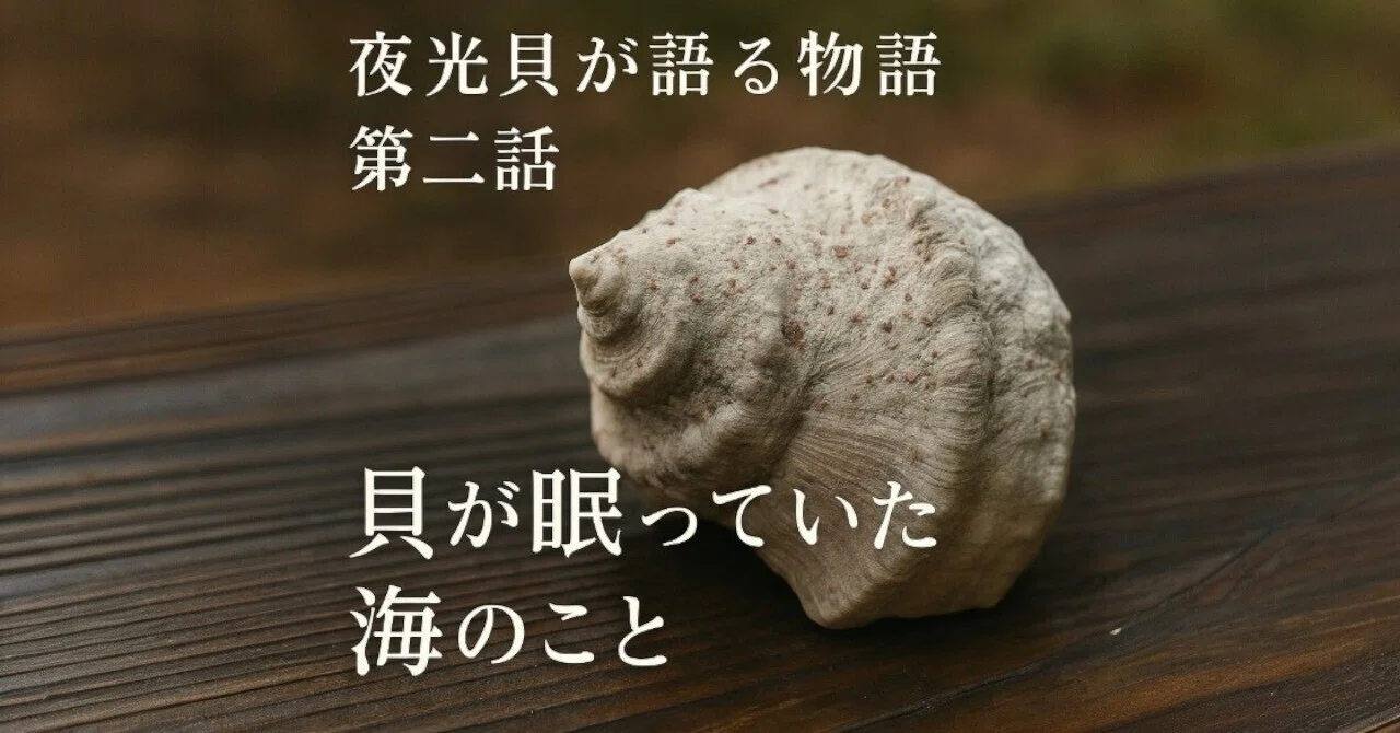 夜光貝が語る物語 第二話：貝が眠っていた海のこと｜貝工房りん 沖縄