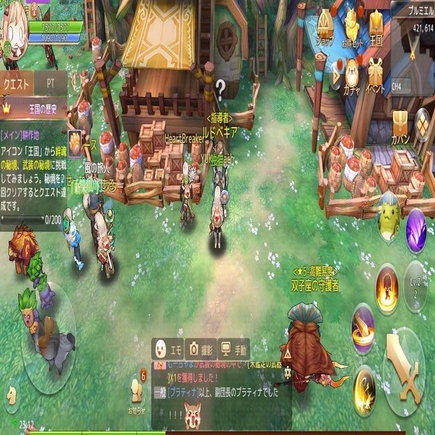 独猫(そろねこ)アッシュテイルをソロります｜独猫(そろねこ)