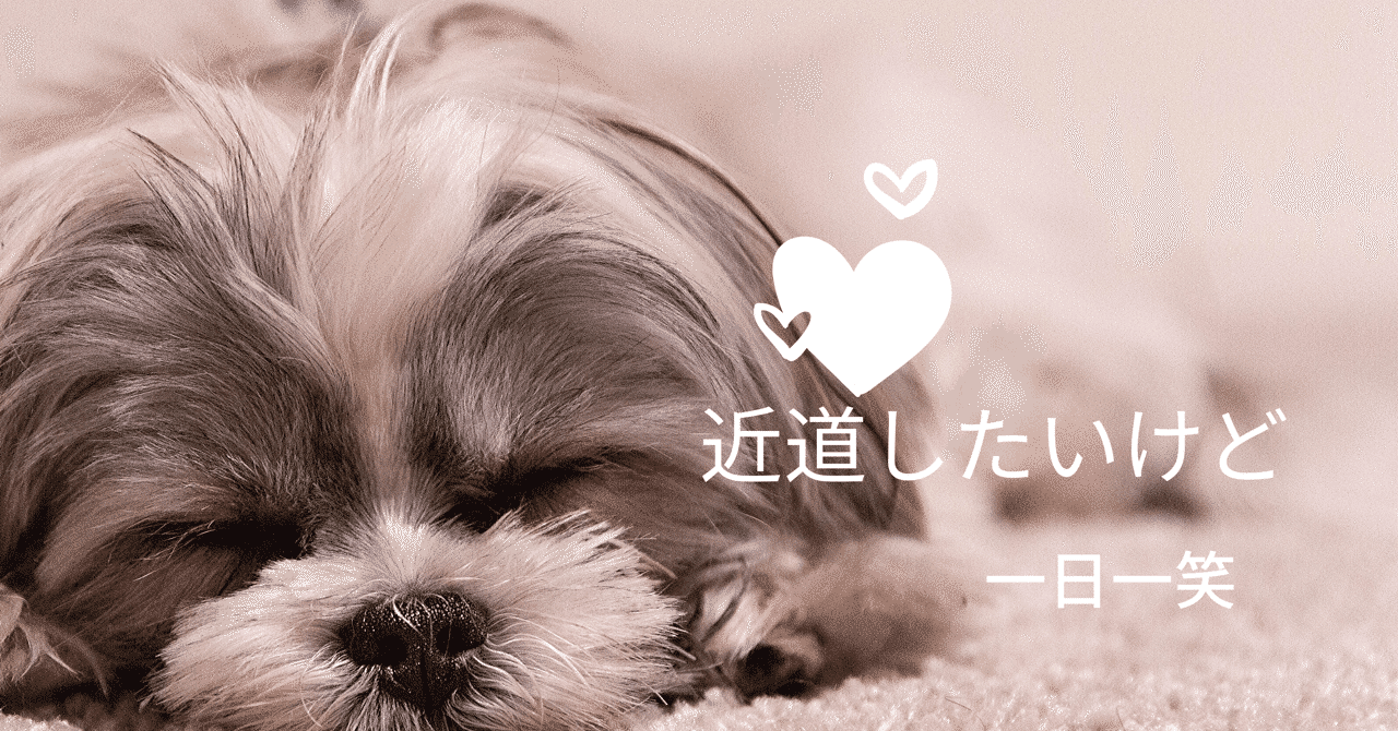 コリー犬 の新着タグ記事一覧 Note つくる つながる とどける