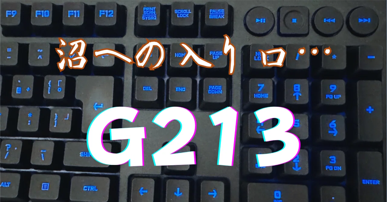 沼の入り口に立たされた / G213 / Logicool / キーボード｜ガジェオタ 