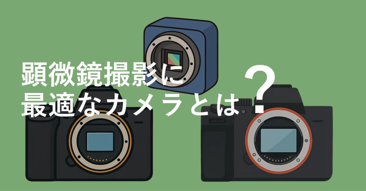 徹底解説】フルサイズ vs APS-C vs USBカメラ ～顕微鏡撮影に最適な 