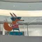 とこなみん