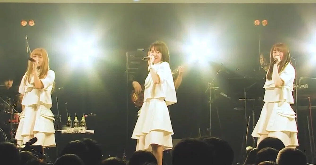 sora tob sakanaについて(Re:)｜ハウスネコ