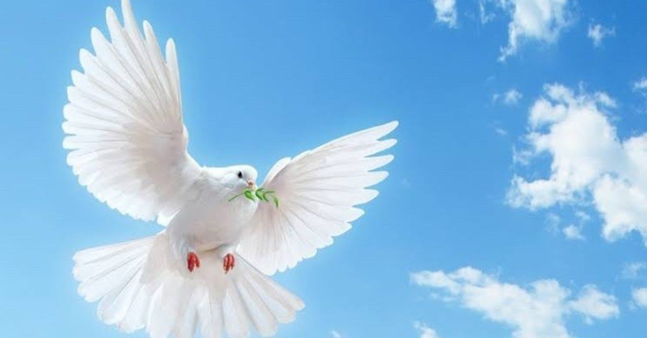 平和 白い 鳩 イラスト Josspicturegnfcq