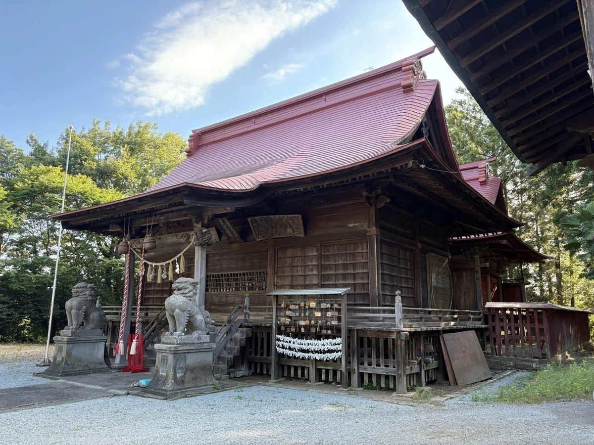 画像
