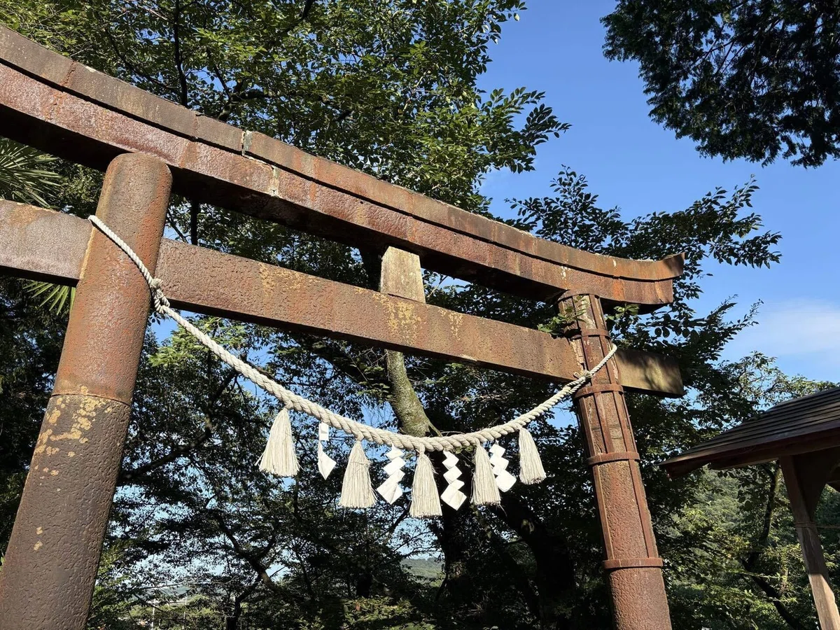 画像