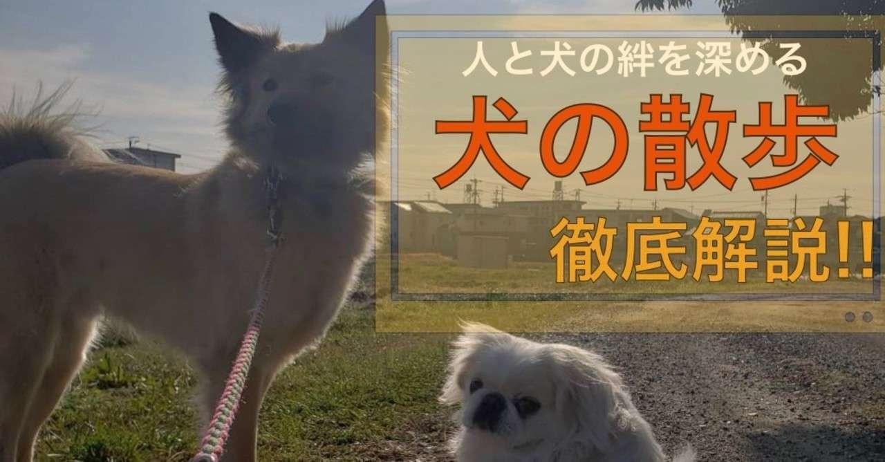 犬の散歩の必要性について徹底解説 ドッグライフサポーター 獅子パパ Note