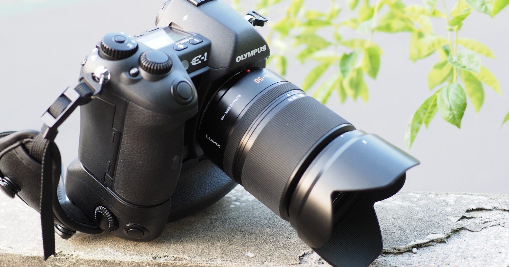 フォーサーズレンズだより(その8：ELMAR 14-50mm F3.8-5.6)｜cherubino