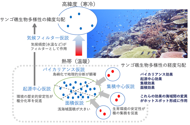大衣对冬天来说 是戒不了的毒药 14套搭配指南 让你