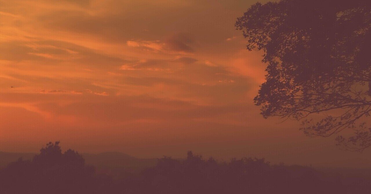 まいかる様　ご注文ページ　no.0496 冬夕焼のオレンジスモーキー　一点物 X half 写真】オレンジの夕焼けを求めて｜X_photostyle