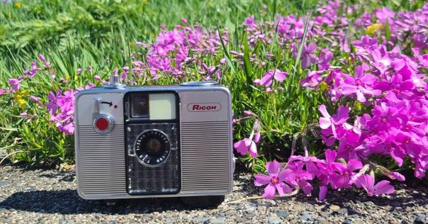 フィルムカメラ紹介 Olympus pen ee3編｜Takumi