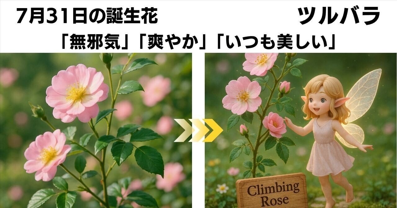 7月31日生まれのあなたへ：花言葉が紡ぐツルバラの物語｜るっち｜AI x