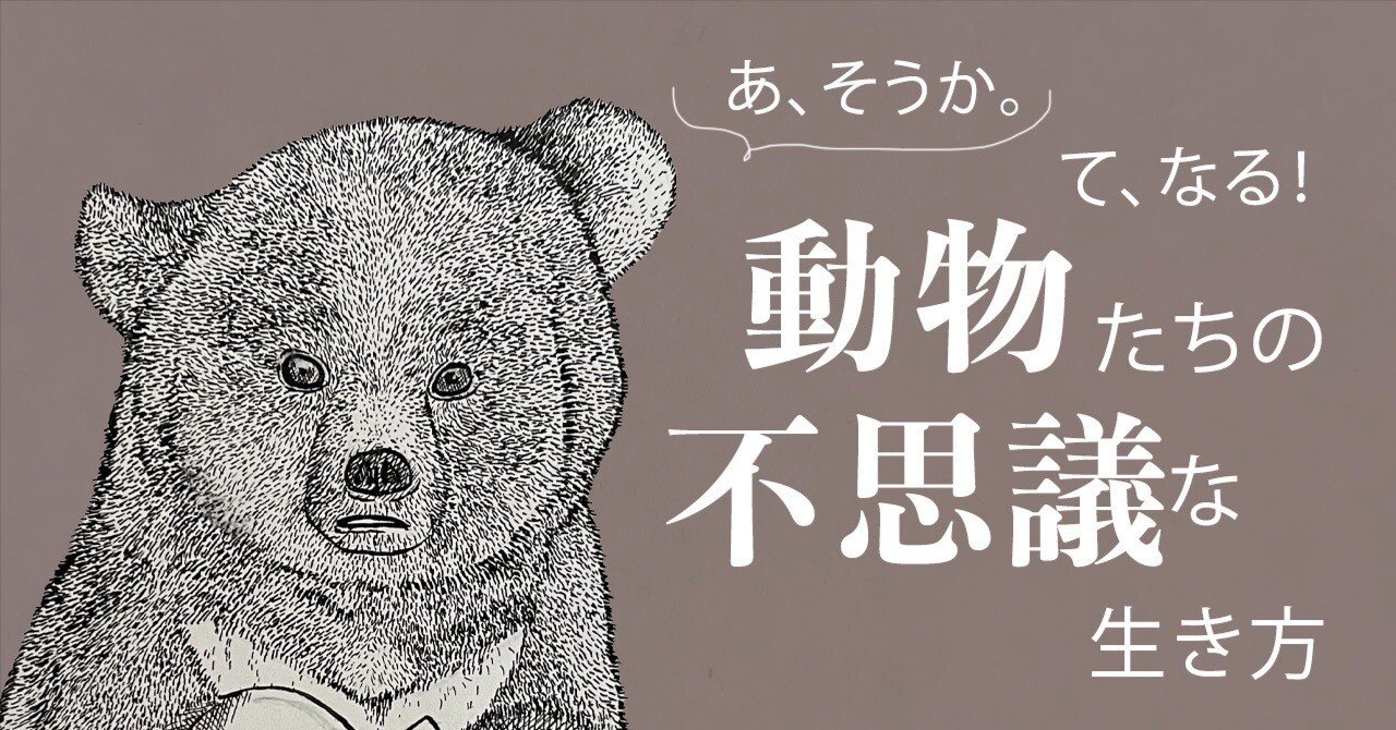 わかりやすさMAX-イラストで知る動物行動学｜津幹 みむ＊動物たちを描く人