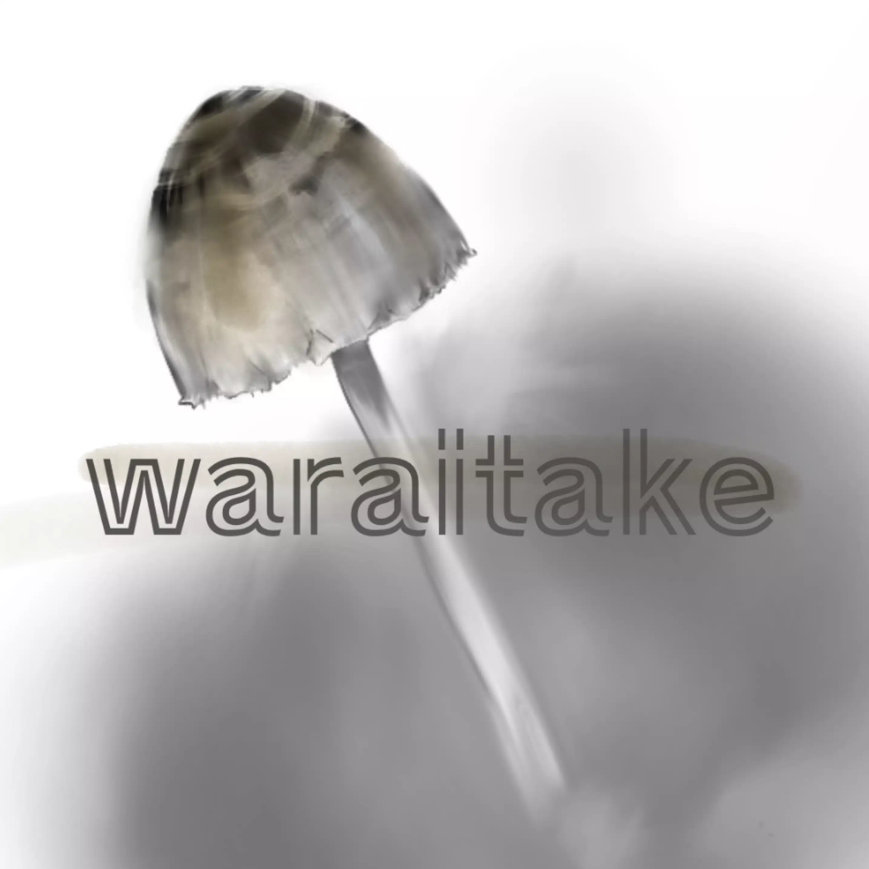 ワライタケ
