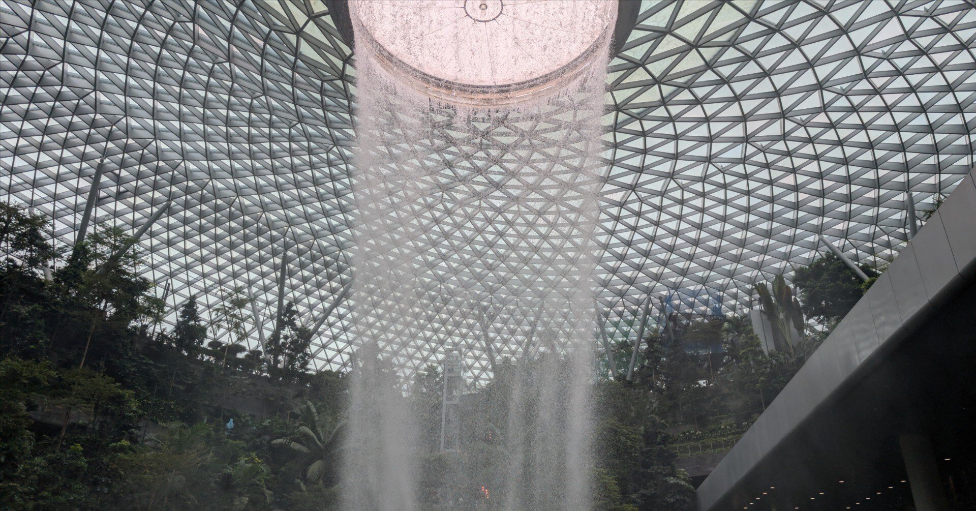 🌏シンガポール🇸🇬見聞録｜チャンギ国際空港｜㊗️建国60周年