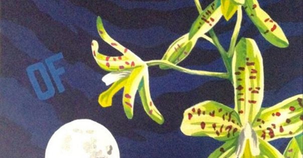 洋楽 FKJ - French Kiwi Juice FKJ – French Kiwi Juice – 2 x Vinyl (Gatefold, LP, Album