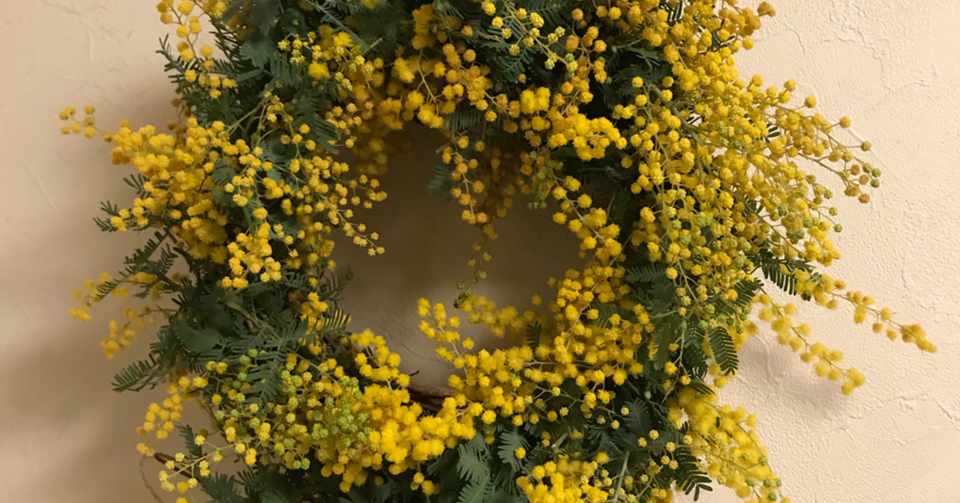 ミモザ Amalka Note