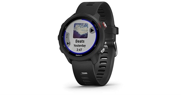 その他 GARMIN - GARMIN ForeAthlete 220J ガーミン ForeAthlete220J 価格比較 - 価格.com