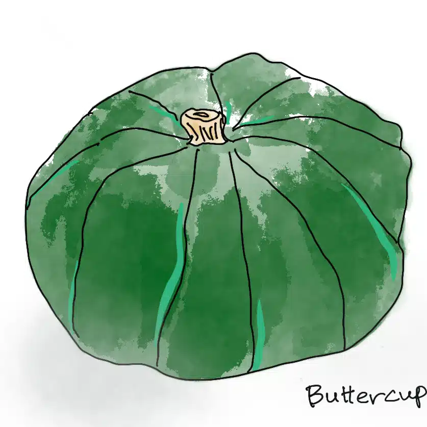 raminagrobis