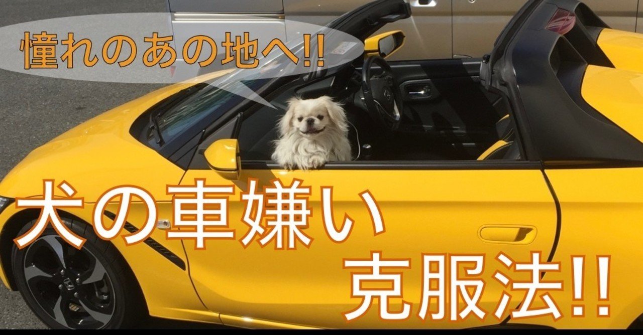 犬の乗り物嫌い克服法 ドッグライフサポーター 獅子パパ Note