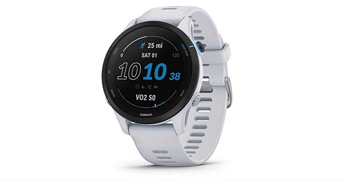 Garmin Forerunner 255 Musicレビュー 長時間バッテリーで快適