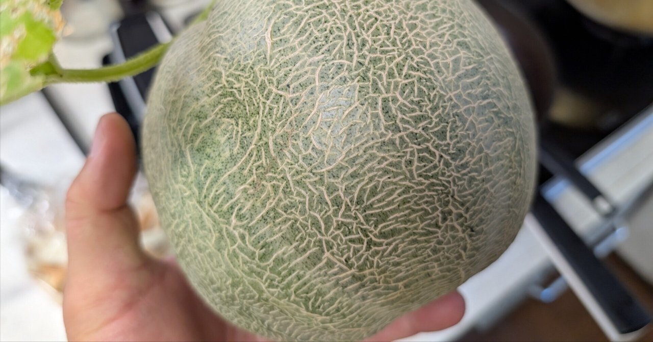 野菜園芸大百科 (4) 第2版　メロン メロン・スイカ 野菜園芸大百科4 中古本・書籍 | ブックオフ公式
