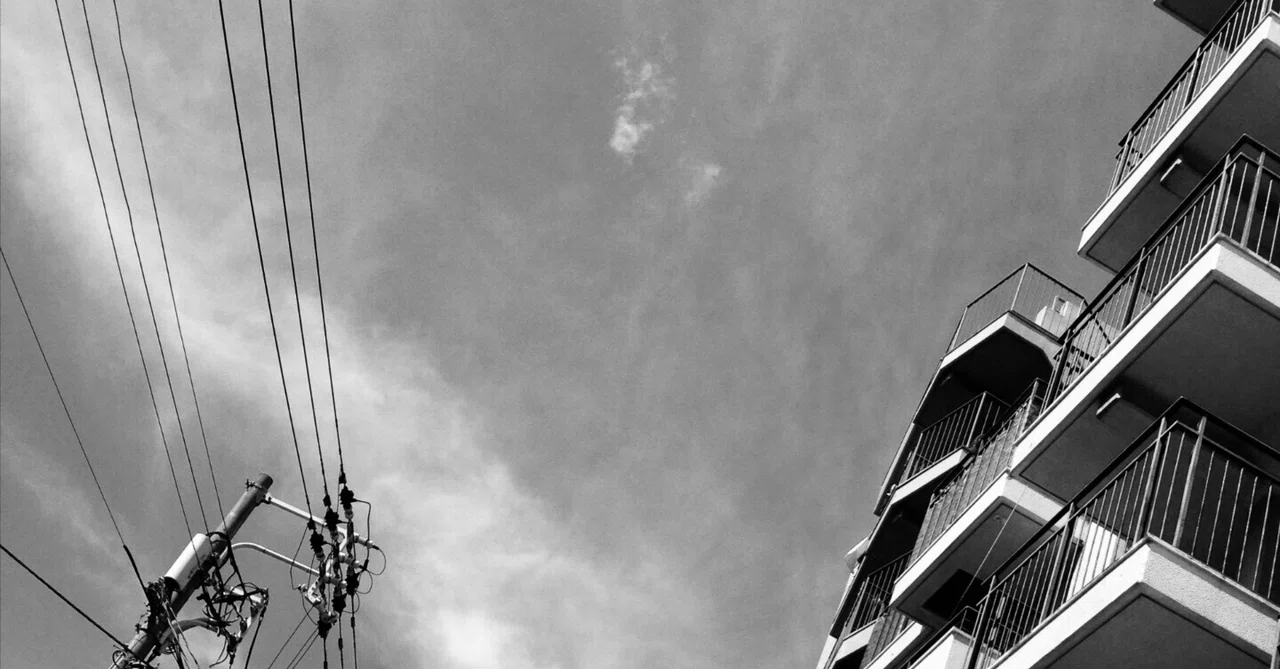 Between Nature and Artificiality｜ZUSH