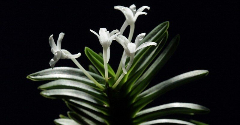 bbd560b61e92500927458f82cde97b