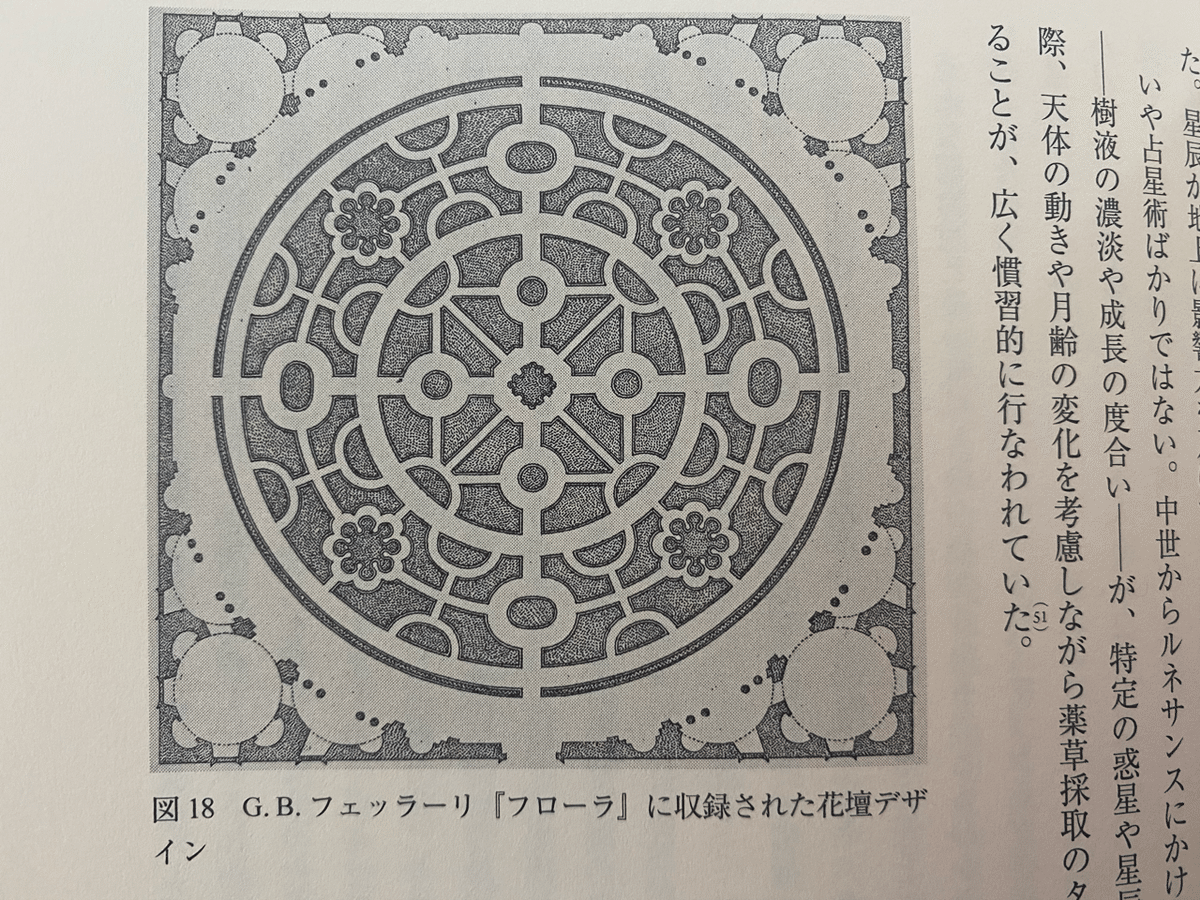 ルネサンス庭園の精神史／桑木野幸司｜棚橋弘季 Hiroki Tanahashi