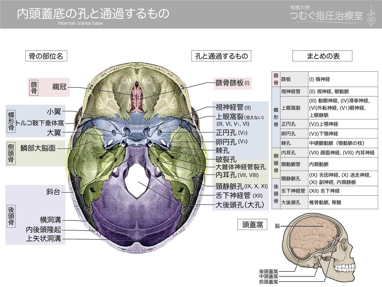 内頭蓋底の孔と通過する神経 血管 効率良い記憶法 かずひろ先生 黒澤一弘 解剖学 Note 内頭蓋底の孔と通過する神経 血管 効率良い記憶法 かずひろ先生 黒澤一弘 解剖学 Note