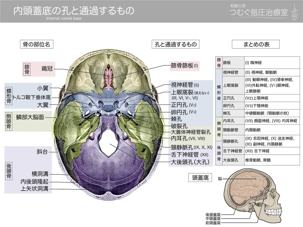84 Off 脳神経外科 頭蓋底局所解剖アトラス Www Valoris Expert