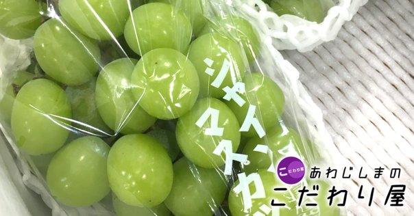 リード販売中！！｜蛯澤亮