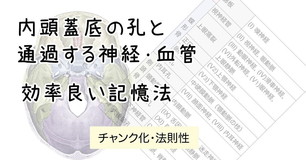内頭蓋底の孔と通過する神経 血管 効率良い記憶法 黒澤一弘 Note