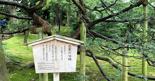 岡﨑乾二郎『芸術の設計 見る／作ることのアプリケーション
