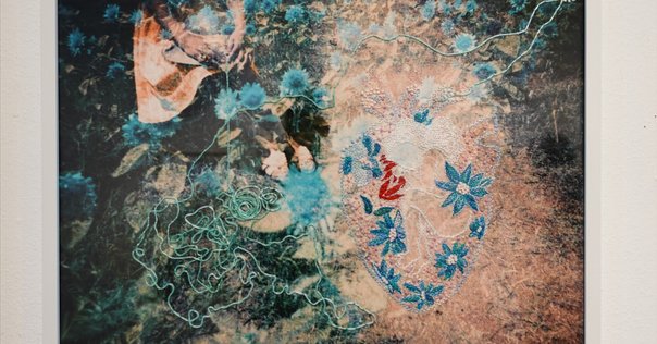 f,l,o,w,e,r,s 花の定規　寺山紀彦さん 寺山紀彦 g,a,r,d,e,n [庭を集めた定規]