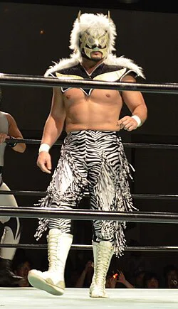 u*5様 獅龍 プロレス試合用マスク 金✖ 銀 ボア付き 指輪が泣いた。獅龍！｜OGAみちのく