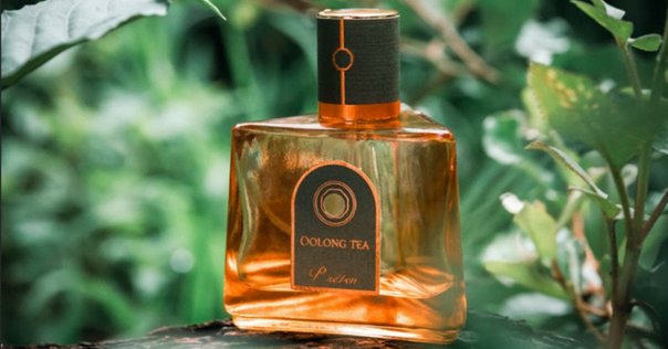 爽やかさの中に深みのある香水「Aesop - Karst」｜好きなことで