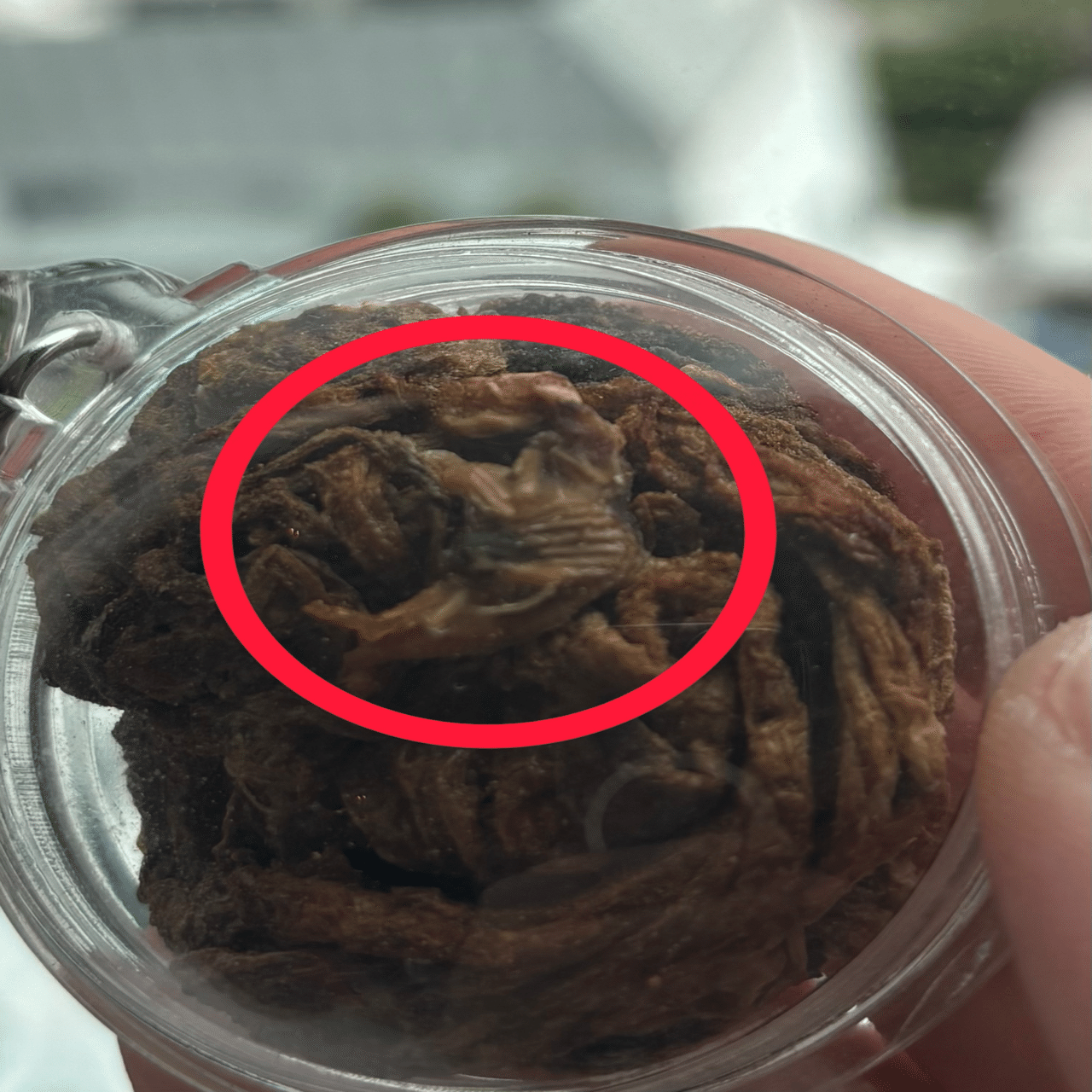 呪物　タイ　バンコク バンコクのえげつない呪物市場「Amulet Market（ตลาดพระเครื่องท่า