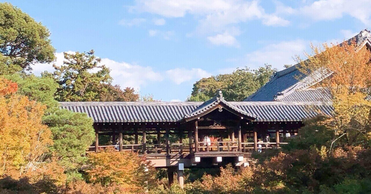 3 八窓の茶室 杓茶碗 曼殊院 門主門跡寺院の住職一山一教派の長 曼殊院の八窓軒(京都三名席の茶室)|茶室建築 Tea-Room