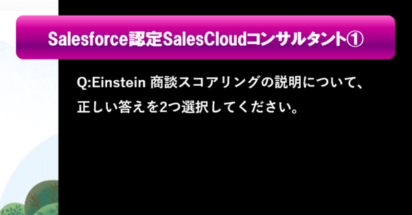 Sales Cloudコンサルタント 2024-2022｜Salesforce過去問+模擬