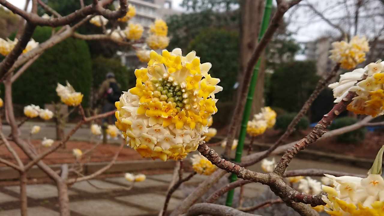 アライアンス向けプラン