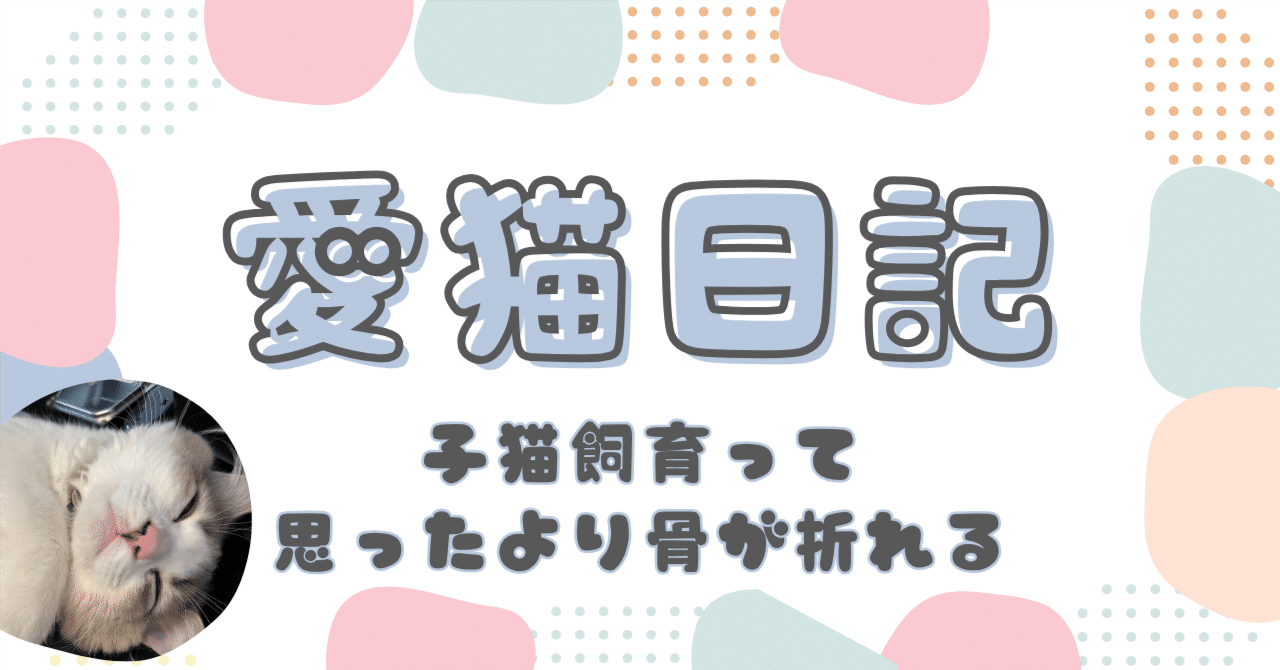 もういらにゃい！」猫がお皿に“砂かけポーズ”をするナゾ行動を解明！ | もふねこ 〜猫との暮らしをもっと楽しく〜, image size:1280x670