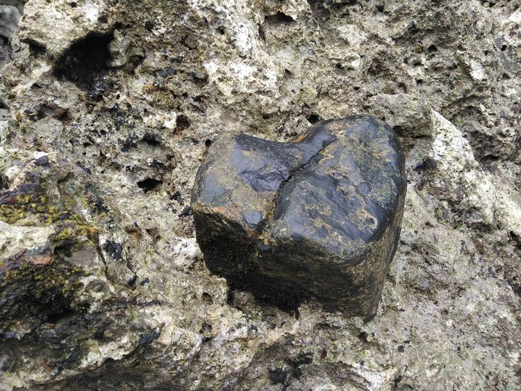 春の大潮～大神島探訪編。

海端で見つけたオーパーツのような石。強く角張ってこそいないものの、明らかに立方体風で黒く堅い。
これが岩にがっちりくっついている(ここだけ成分が違う石みたい)。
いったい、これはなんだろう？地学詳しい人、教えて～(^O^)