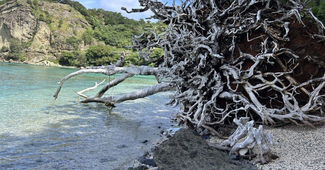 ただならぬ流木 ただならぬ流木 【公式通販】