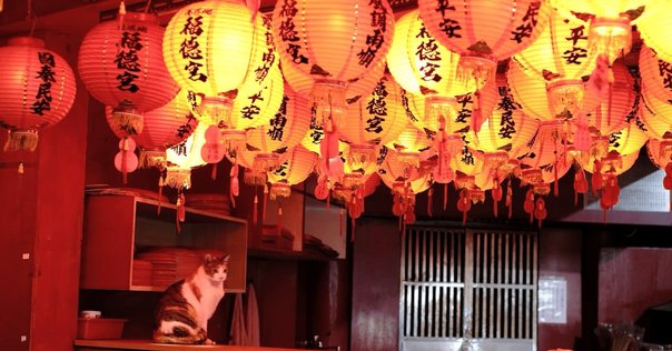 台湾原住民「高砂族」のこと、みなさんは知っていますか
