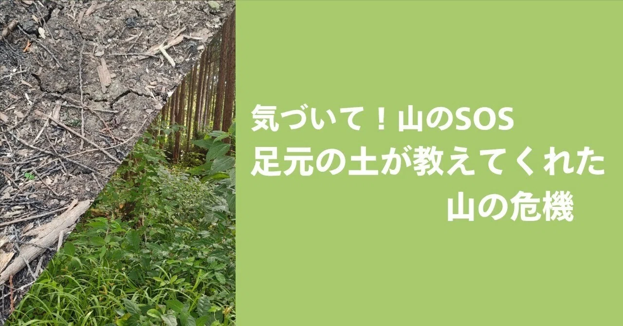 気づいて！山のSOS〜足元の土が教えてくれた山の危機〜｜みやけかなえ