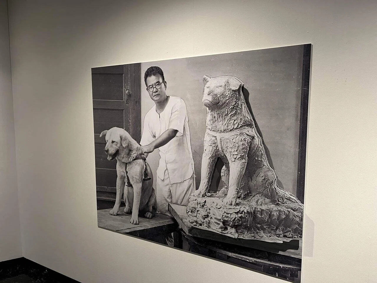 ハチ公像が長く愛される理由 渋谷区立松濤美術館 安藤照展感想｜キクチ