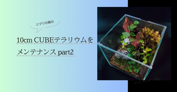 とも　麒麟、セミナロー、プテロプス、みず草2種、フレイムモス フレイムモス｜MASUKO